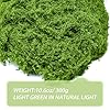 Fake Green Moss for Crafts 10.6 Oz Decorative Artificial Moss for Crafts Decorative Faux Moss Table Centerpieces Wedding Party Decor Fairy Garden Floral DIY #4