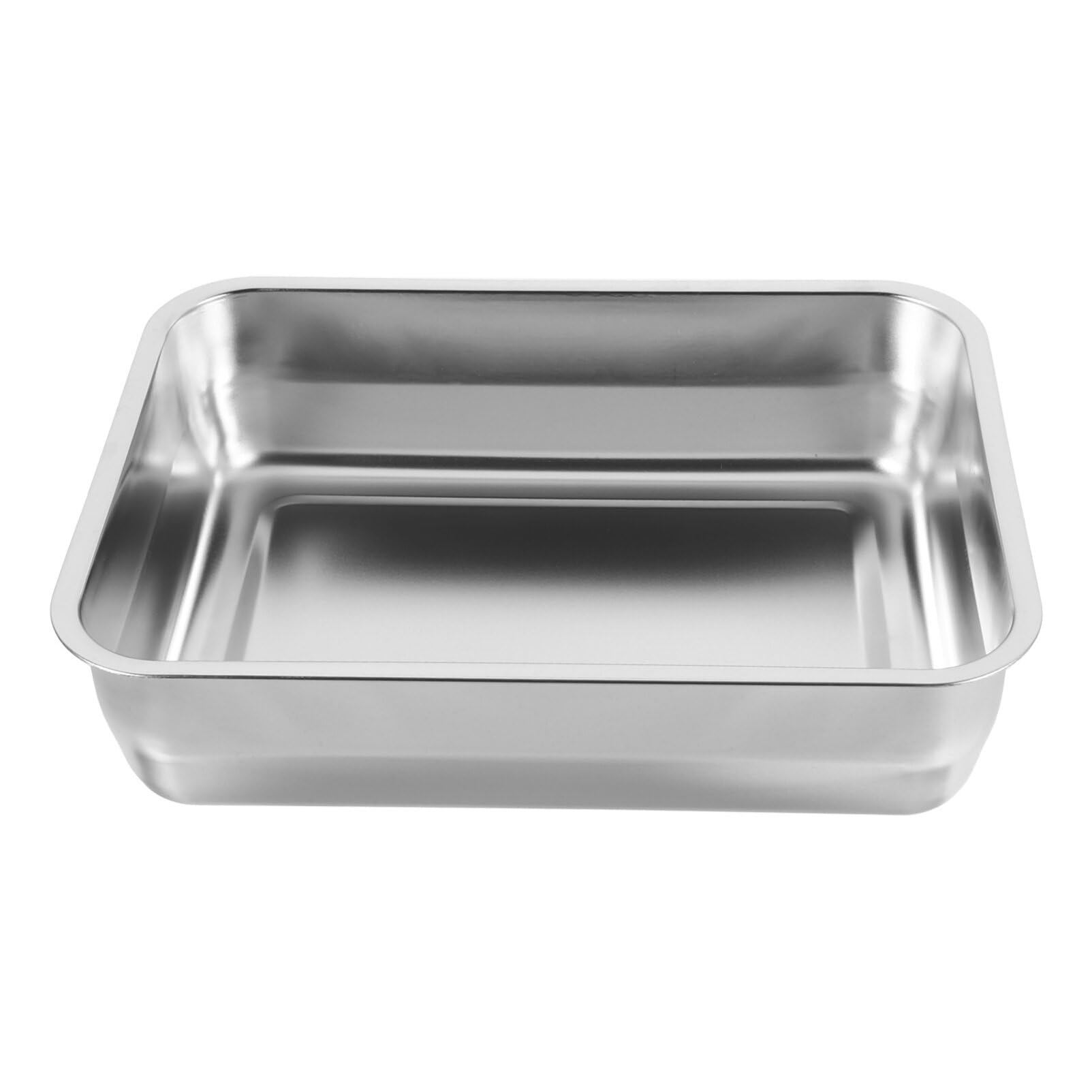 Hemoton Stainless Steel Roasting Pan Food-safe Rectangular Dish for Grilling Fish and Seafood for Home and Restaurant Use Easy to Clean Serving Tray