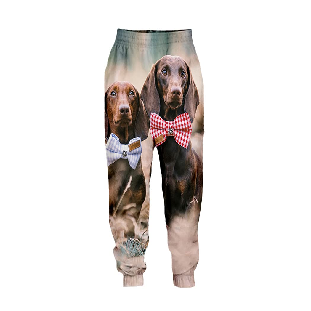 Pantalon teckel 3D confortable et extensible pour morphologie 3XL - 8