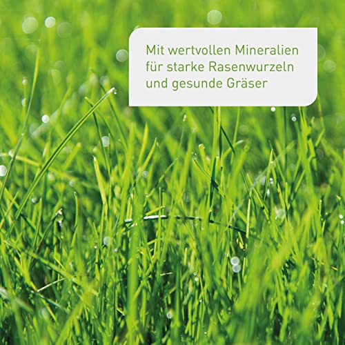 Rasenerde Plantura Bio torfreduziert und vorgedüngt für Neuanlage und Pflege