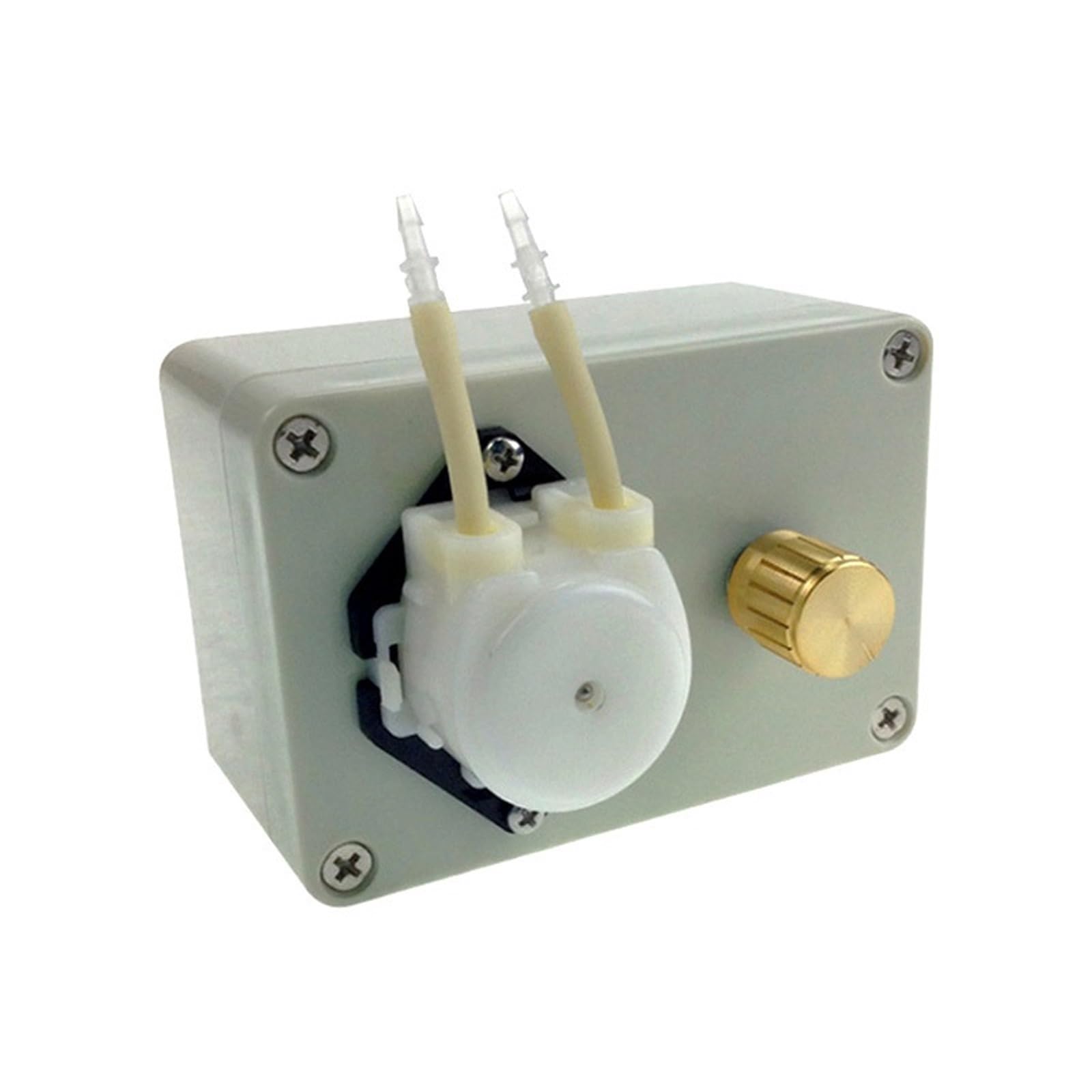 Pompa peristaltica ad alta precisione con velocità regolabile AC220V/240V - Pompa dosatrice da laboratorio da 100 ml/min(220V)