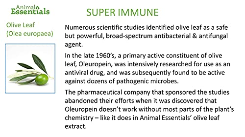 Animal Essentials Super Immune Support For Dogs & Cats, 1 Fl Oz - Ol Complex, Promotes Healthy Immune System #TOP7