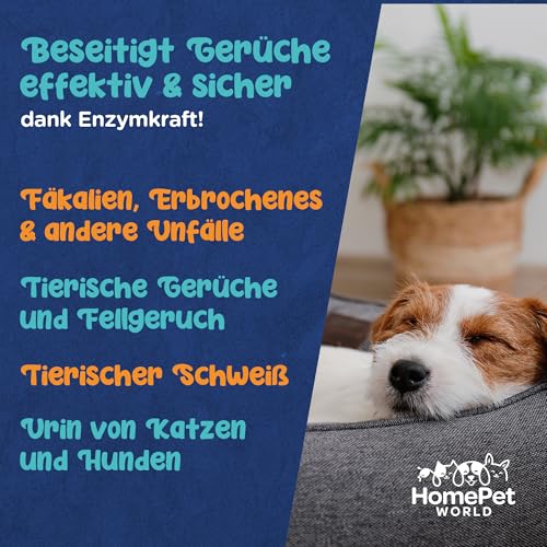 HomePetWorld Enzymreiniger Katzenurin 500ml - Enzymreiniger Geruchsentferner für Haustiere (Hund & Katze) - Effektiver Reiniger als Katzenurin Entferner auch als Katzenklo Reiniger nutzbar