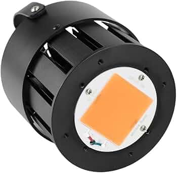 51K2MCG8YiL._AC_UF350,