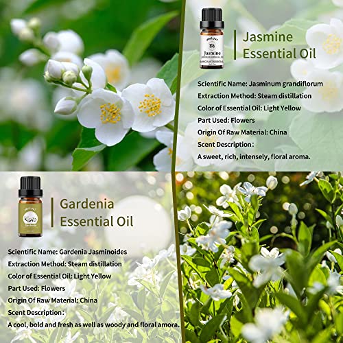 Yethious 2 Pack Jasmine Gardenia Essential Oil Set 100% Pure Gardenia Fragance Oil Jasmine Aromatherapy Oils For Diffuser #TOP1