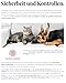 Schesir Cat Natural Lachs, Katzenfutter nass im eigenen Saft, 24 Dosen x 85 g