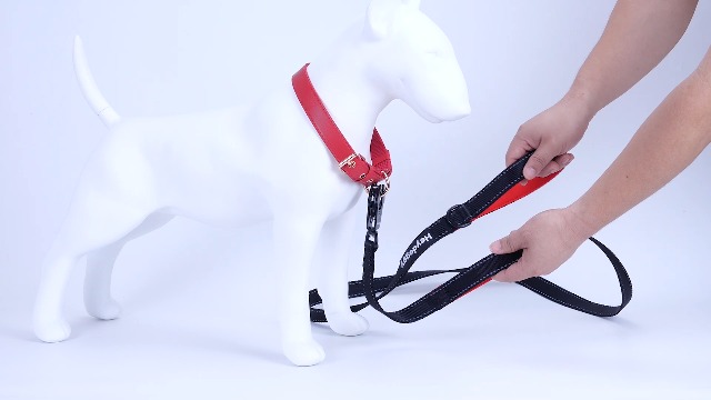 Heydoggy Heavy Duty Dog Leash - 6ft Reflective Nylon, Double Padded Handle, Auto Lock Clip - View #11