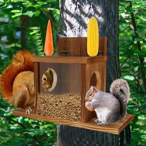 Wood Squirrel Feeder with Extended Bottom Plate Cover
