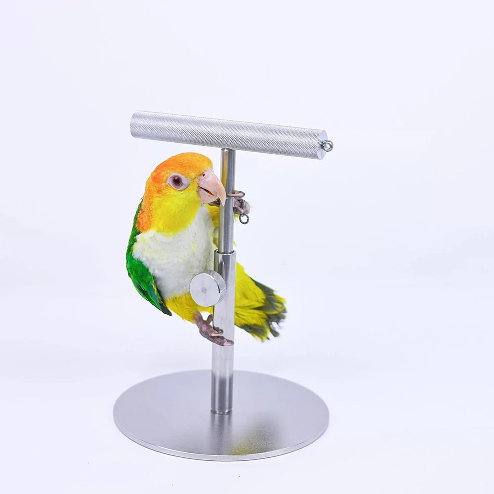 Toplionace Soporte de Escritorio para Loros, Percha de Entrenamiento Totalmente Metálica para Aves.