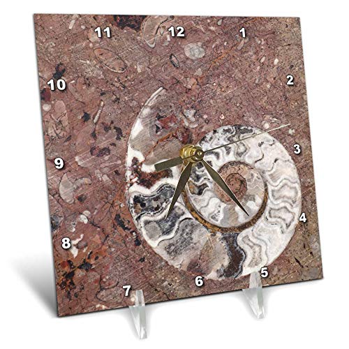3 d Rose Desk Clock Morocco, Erfoud. Details of ammonites, and Other Fossils. (dc 276490 1 )