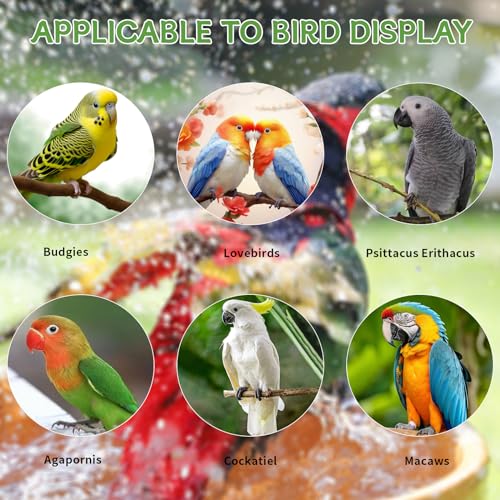 Image of Parakeet Bath, Parrot Bird Bathtub for Cage,Parrot Automatic Bathtub with Shower,for Parakeet /Psittacus Erithacus /Lovebirds /Budgies, white