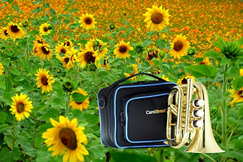 CarolBrass CPT-1000-YSS-Bb-L Mini pocket Bb trumpet - Thumbnail 7