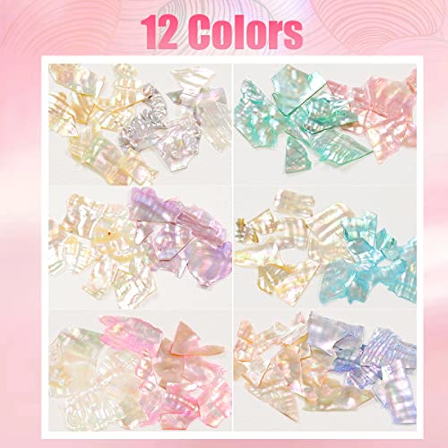 Nail Art Shell Flakes - Abalone Seashell Slices for DIY Manicure 12 Grids/Box (Shell Pieces B) - Image 2