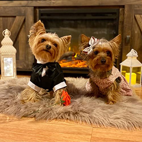 Dog Shirt Puppy Clothes, Pet Wedding Suit Formal Tuxedo With Black Bow Tie, Dog Outfit For Small Medium Dogs Cats, Dog Weding Attire Dress Up Cosplay Prince Costume Gentleman Apparel (Medium, Black) #TOP3