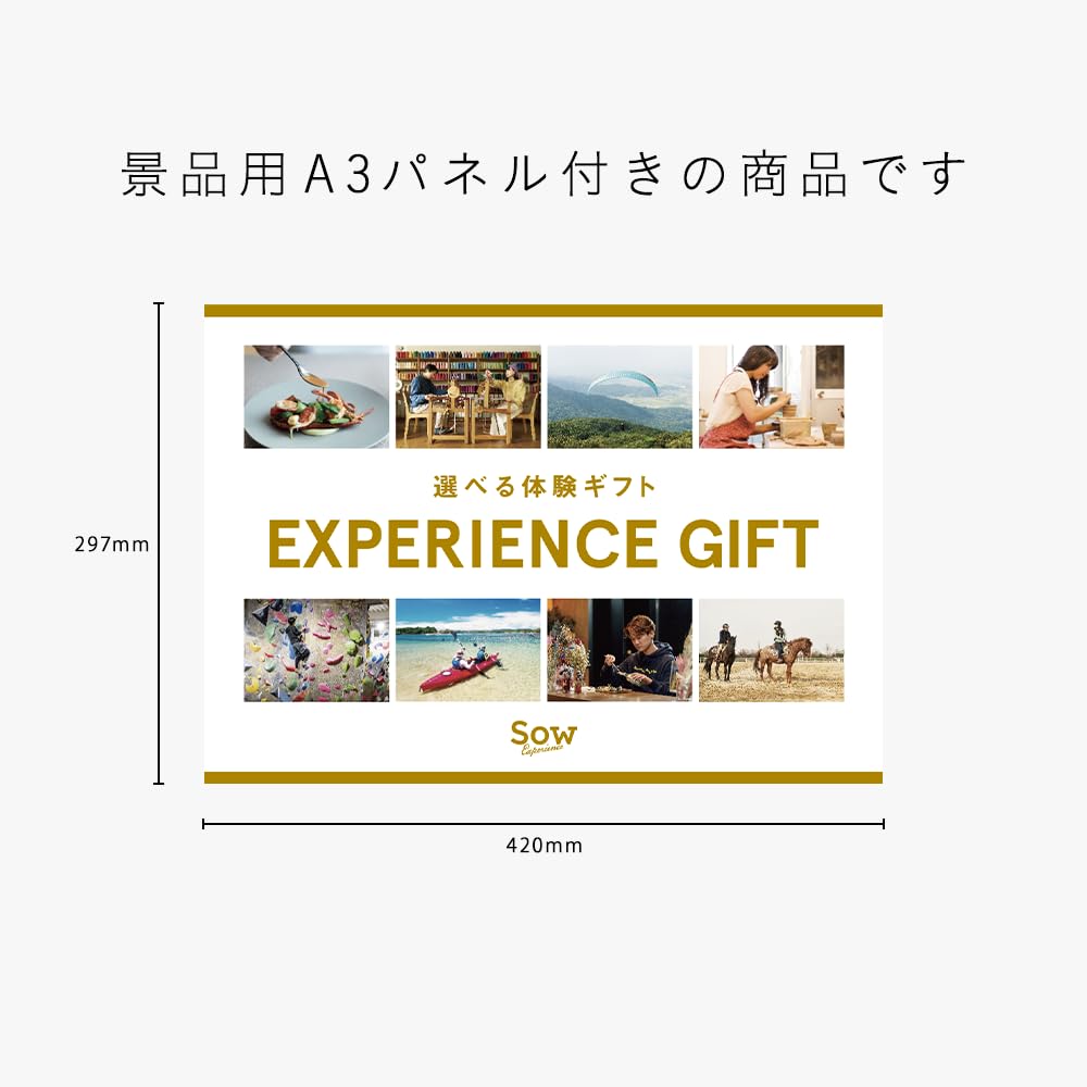 Amazon.co.jp: SOW EXPERIENCE Comprehensive Edition Catalog Gift