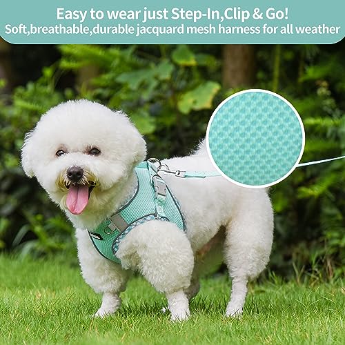 AIITLE Durable Hundegeschirr und Leine Set für Spaziergänge, Schritt in Welpengeschirr, weiche atmungsaktive Haustier Zubehör, reflektierende Bänder, für extra kleine Hunde und Hauskatzen Türkis XXXS