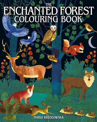 Arcturus The Enchanted Forest Colouring Book (Arcturus Creative Colouring).