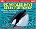 Scholastic Q & A: Do Whales Have Belly Buttons? (Scholastic Question & Answer)