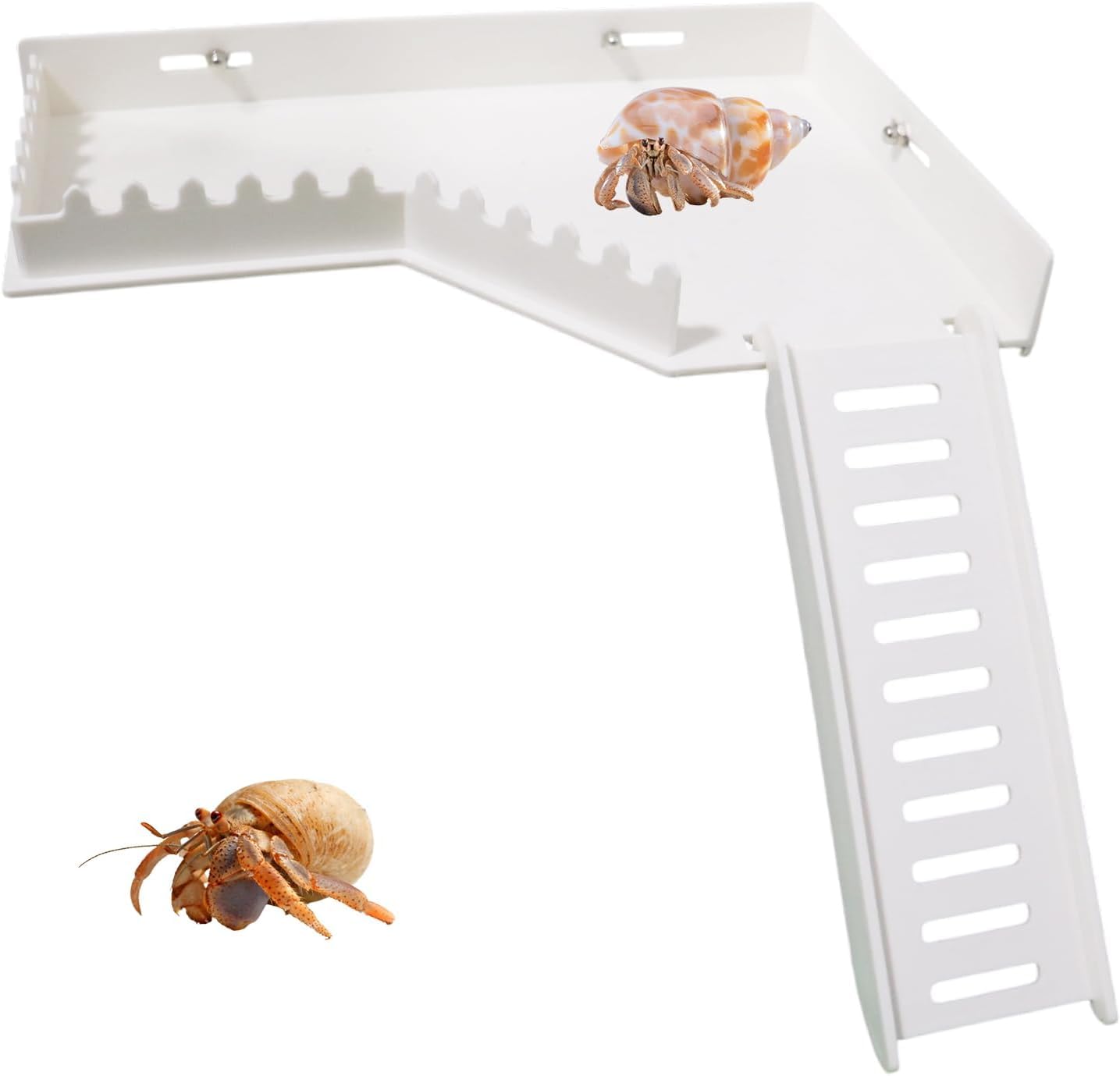 Hermit Crab Climbing Platform with Ramp, Hermit Crab Climbing Wall Hideout