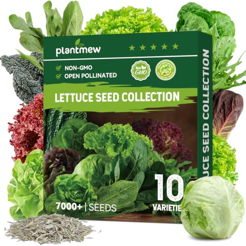 PLANTMEW Heirloom Lettuce Seeds - 10 Varieties Lettuce Seeds for Planting - Includes Spinach Kale Arugula Romaine Iceberg Buttercrunch & More Home Garden & Hydroponic Seeds