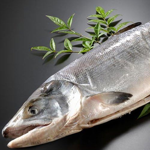 Amazon サーモン専門店岩松 北海道産 新巻鮭 秋鮭 一本物 約3kg 化粧箱入 岩松水産 鮮魚 通販 Amazon サーモン専門店岩松 北海道産 新巻鮭 秋鮭 一本物 約3kg 化粧箱入 岩松水産 鮮魚 通販