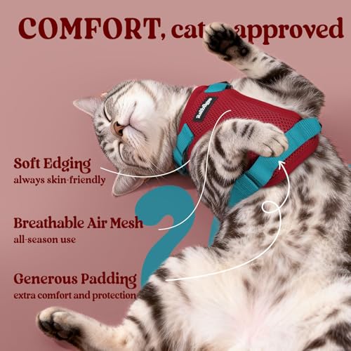 Image of rabbitgoo Cat Harness and Leash Set, Escape Proof Vest, Red & Teal | Soft Breathable Mesh, Easy Adjustable Fit, Snap Buckles, Sturdy Clip, Reflective Strips, for Average Cats Walks, S