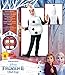Rubie's 300509 - Disfraz de Frozen 2, unisex, Tamaño Toddler, Edad 2-3...
