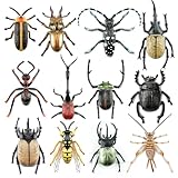 Toymany 12PCS Realistic Insects Figurines Toys - Plastic Bugs Figures Set with Cricket Bee Ant Dung Beetle, Educational Halloween Toy Cake Toppers Christmas Birthday Gift for Toddlers Kids