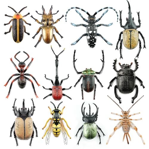 Toymany 12PCS Realistic Insects Figurines Toys - Plastic Bugs Figures Set with Cricket Bee Ant Dung Beetle, Educational Halloween Toy Cake Toppers...