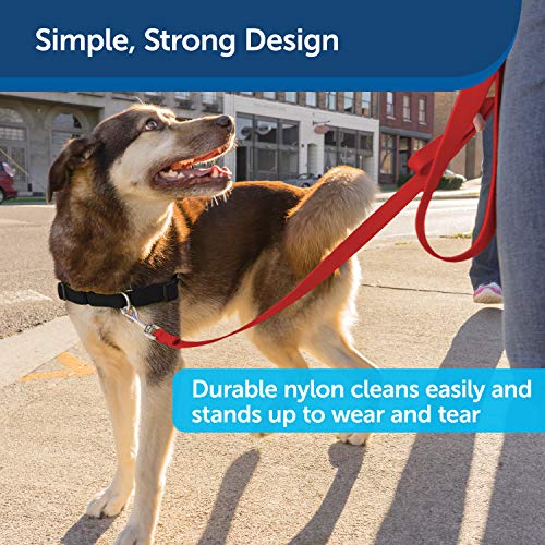 Petsafe Nylon Dog Leash - Strong, Durable, Traditional Style Leash With Easy To Use Bolt Snap - 1 In. X 6 Ft., Red #TOP3