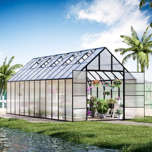 CDCASA 24x10ft Greenhouse with Vent & Door