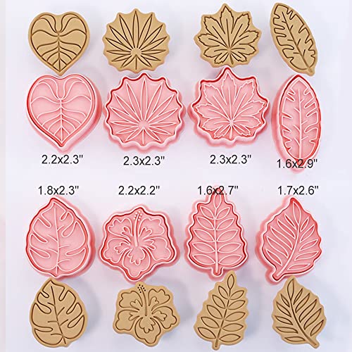 Tuxxzis 8-Pcs Fall Leaves Cookie Cutter Set 3D Holly, Oak, Teardrop, Shamrock, Fern Leaf, Aspen, Gingko And Maple Leaf Cookie Cutters For Baking Party Favors And Supplies #TOP5