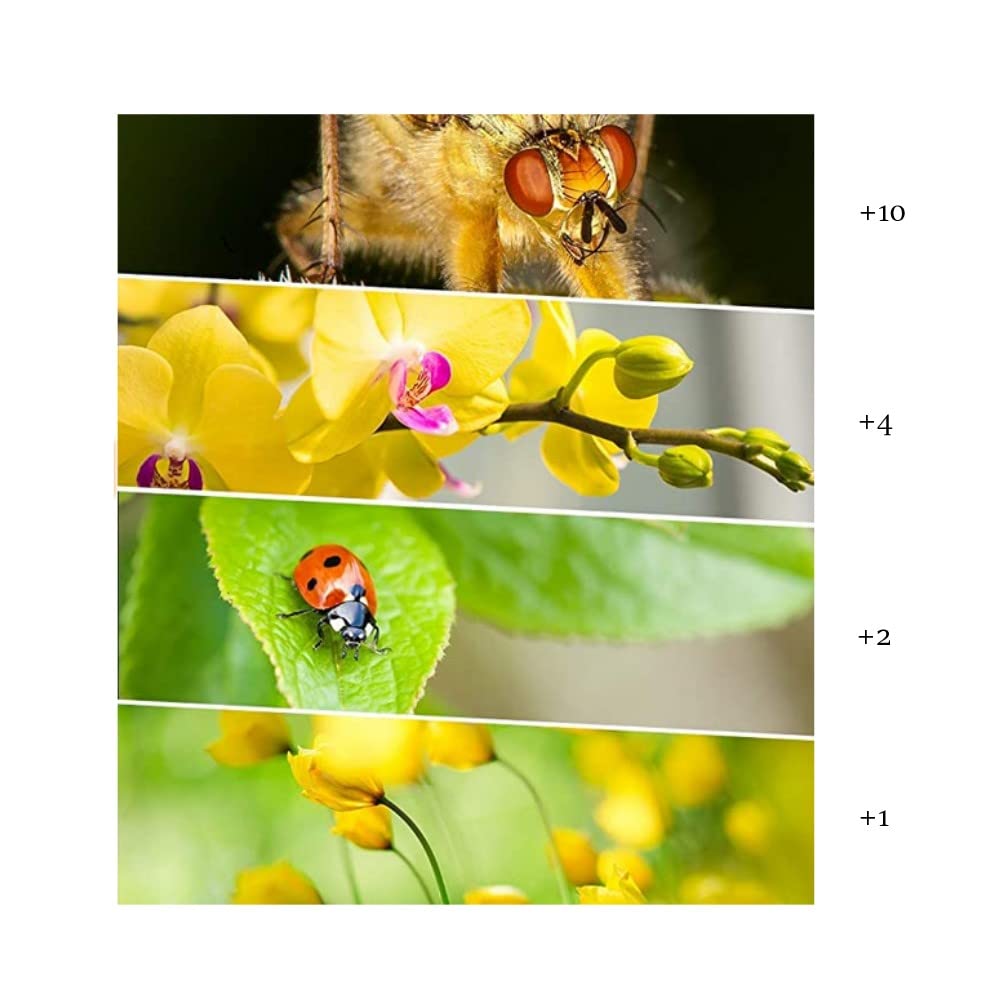 Obiektyw aparatu +1 +2 +4 +8 +10 dioptrii zbliżenie zestaw filtrów makro do aparatu Canon EOS R, Rp z obiektywem Canon RF 50 mm F1,8 STM