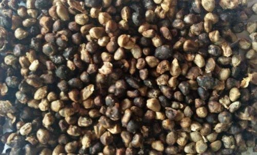 SL Natural Black Cardamom Seed ( BADI ILAICHI Dana) (400) (B08JJGYRFK) Amazon Price History, Amazon Price Tracker