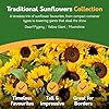 Pronto Seed Sunflower Seeds Collection - Grow Your Own Kit with 6 Stunning Varieties Including Yellow Giant - Perfect for Pots, Beds & Containers - Gardening Gift Set (Sunflower Seeds) #4