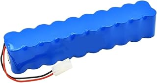 Batería De Repuesto Ni-MH De 9800 MAh, 24 V, Compatible Con Rowenta CD Aspiradora, Besen Air Force Extreme RH8770/RH8771WS/RH877501/RH8779/RH877901(9800mAh 1PCS)