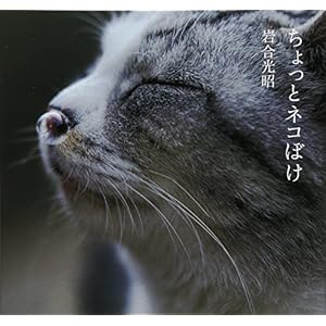 ちょっとネコぼけ