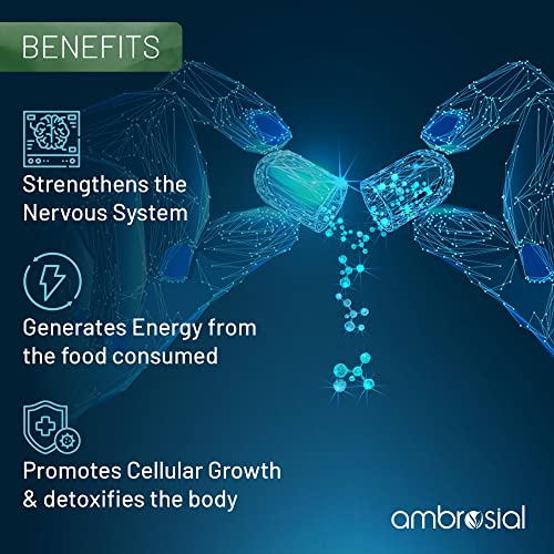 Ambrosial-Vitamin-B12-1000-mcg-500-mcg-Folic-Acid-1500-mcg-60-Veg-Capsules-Folic-Acid-Reduction-of-Tiredness-Fatigue-B12-Supplement-Immune-System-Energy-Brain-Support