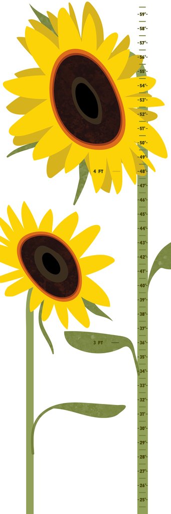 Poster Sunflower pour enfant dimensions 30,5x91,4 cm affiche verticale - 4