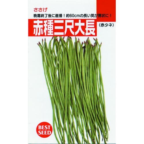 Amazon.co.jp: ささげ 種 【 赤種三尺ささげ 】 種子 小袋（約15ml