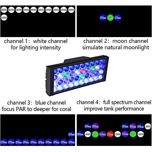 Popbloom T30 Reef 3Pcs Smart Control Reef Aquarium Light Led Fish Tank Light For 48"-60" Reef Coral Aquarium (T30 Controller-Control Light With Arm Kit) #TOP4