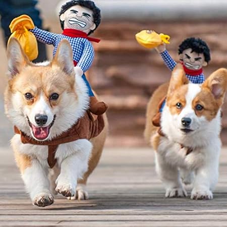 Amazon 24hours 犬 ハロウィン 服 コスチューム コスプレ ペット用 カゥボーイ 人形 おもしろグッズ 変装 フレンチブルドッグ コーギー 小型犬 中型犬 大型犬 24hours コスチューム 通販