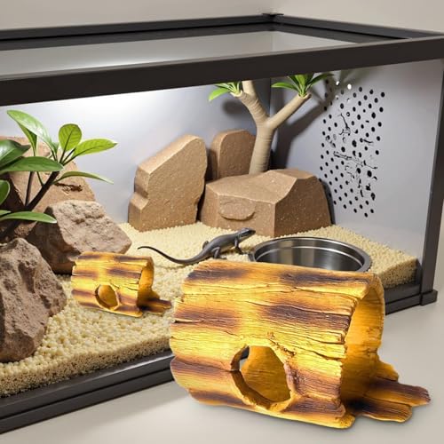Grotte pour reptile contre l'humidité pour araignées et petits crabes