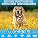 WDKXCN Mini GPS-Tracker für Hund und Katze - IP65-Wasserdichter Haustiersystem, Schlüsselschnalle mit Echtzeit-Standortverfolgung