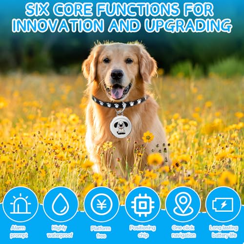WDKXCN Mini GPS-Tracker für Hund und Katze - IP65-Wasserdichter Haustiersystem, Schlüsselschnalle mit Echtzeit-Standortverfolgung
