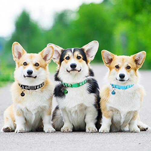 Collare per Gatti, 12 Pcs Collare per gatto