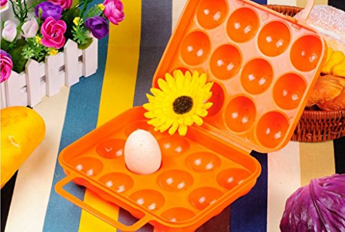 Scatola portatile pieghevole in plastica 12 uova