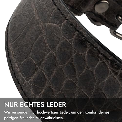 FAVPET Luxus Echtleder Windhund Halsband Breit mit QR Code Anhänger, Weiches Lederhalsband Hund Breit Whippet Italienisches Windspiel Saluki Lurcher Spanischer Galgo Greyhound Podenco (Grau, XS)