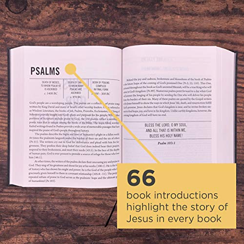 The Jesus Bible, ESV Edition, Cloth over Board, Gray - Image 3