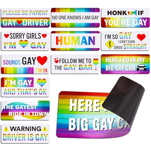 Image of 12 Pcs Gay Pride Funny Magnet Bumper Sticker LGBT Rainbow Pride Prank Magnetic Sign for Vehicle Truck Reusable Magnet Sticker for Fridge (Minimalist)